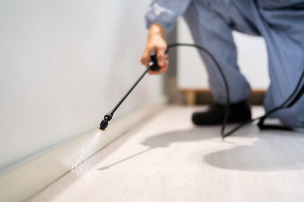 Licensed Mosquito Control service in North Windham, ME - Show Me Pest Control