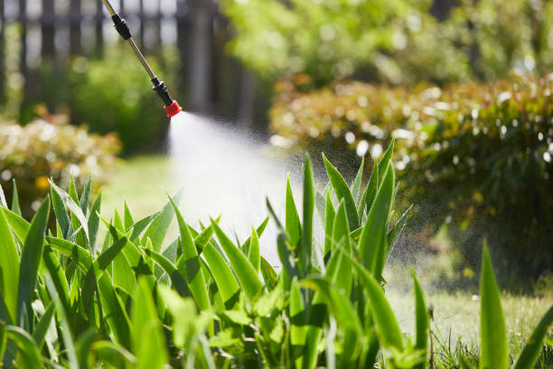 24/7 Emergency Mosquito Control experts in North Windham, ME
