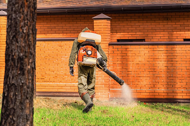 Top rated local Mosquito Control specialists in North Windham, ME